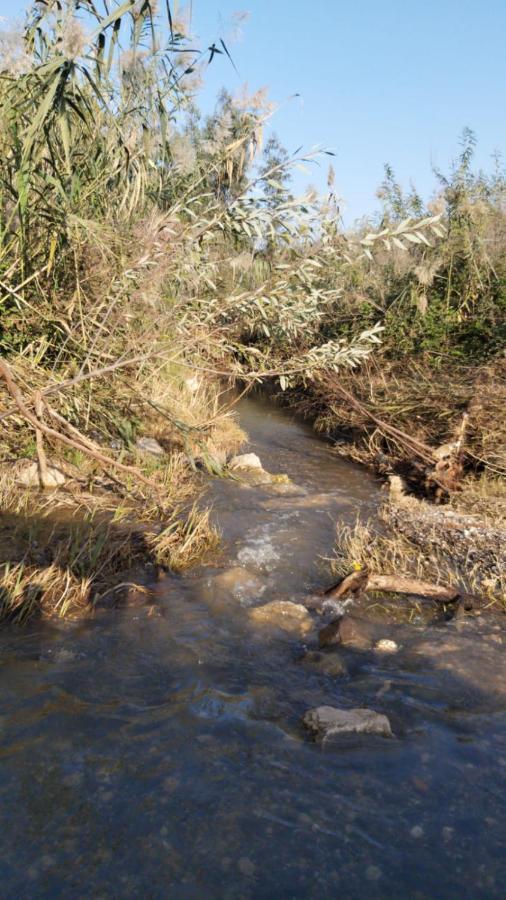 Kfar Tavorבין הר למעיין公寓 外观 照片